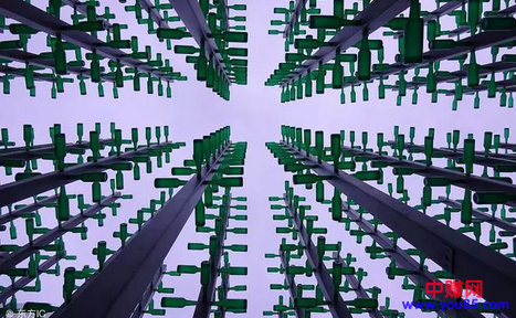201804131523589156883081.png