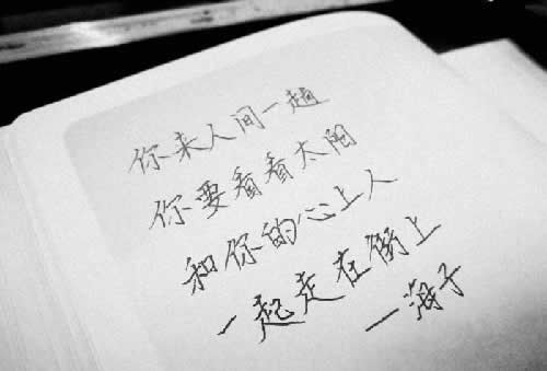 201907253908_246.jpg